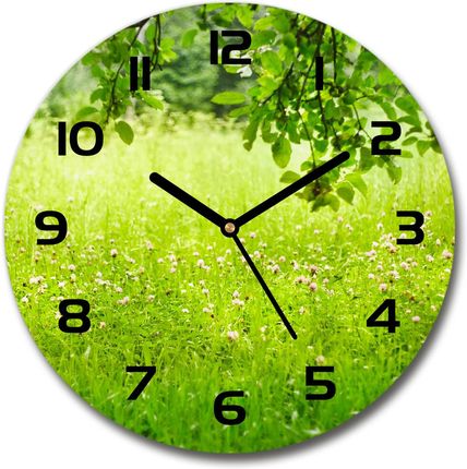 Wallmuralia Zegar Szklany Na Ścianę Zielona Łąka 30X30Cm (plzso30f78819198)