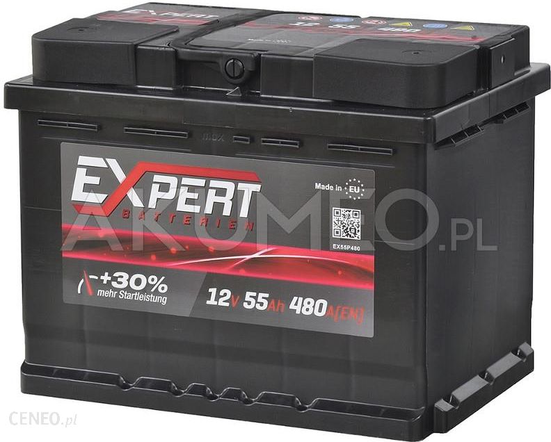  Expert Batterien 12V 55Ah 480A