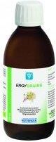 Nutergia Ergydraine 250Ml - zdjęcie 3 Nutergia Ergydraine 250Ml