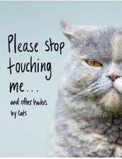 Zdjęcie Please Stop Touching Me ... and Other Haikus by Cats - Ślesin