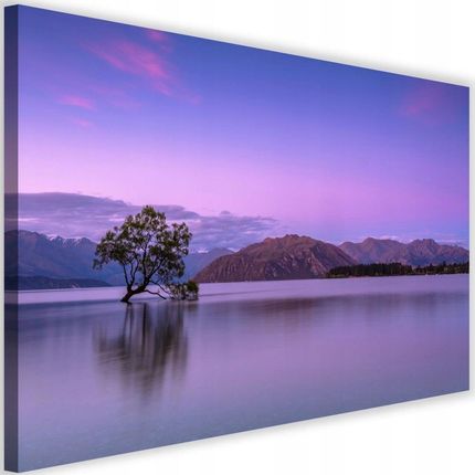 Obraz na płótnie 60x40 bajeczny krajobraz fiolet