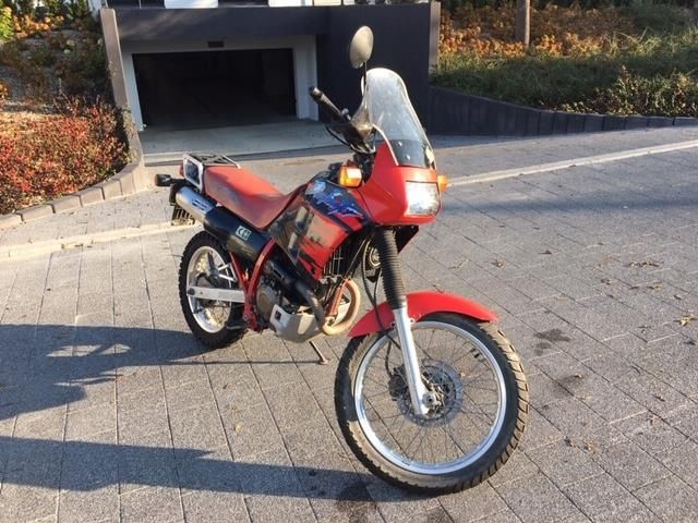 Honda nx250 dominator