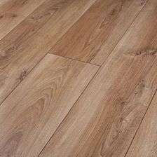 Zdjęcie Persecto Power V Dąb Grandi 2594  - Ciężkowice