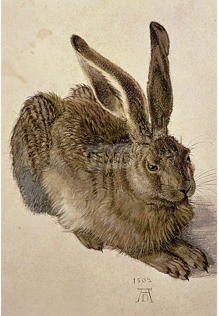 Piatnik Albrecht Durer Zając 1000El. 5616 Ceny i opinie