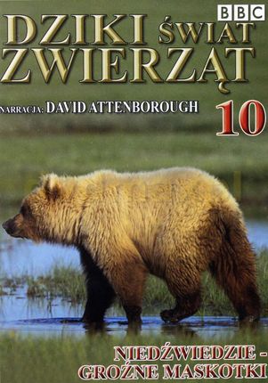 Wielka Encyklopedia Geografii Oxford 10 / Dziki Świat Zwierząt 10: Niedźwiedzie - Groźne Maskotki [DVD]