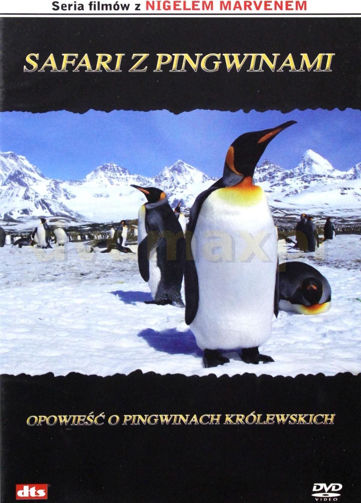 Film Dvd Wielka Encyklopedia Zwierząt 24 Ryby Safari Z Pingwinami