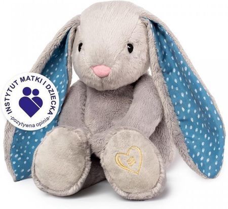 WHIZ LIMITED × secret base いちひく君 WHIZ LIMITED × secret base いちひく君 WHIZ LIMITED × secret