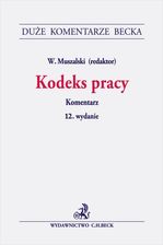 Zdjęcie Kodeks pracy. Komentarz - Płock