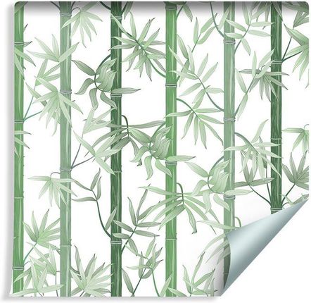 Muralo Tapeta Piękny Zielony Bambus (1156256938)