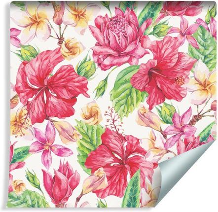 Muralo Tapeta Kolorowe Egzotyczne Kwiaty I Liście (223884142)