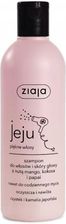 Zdjęcie Ziaja Jeju Różowe Szampon Do Włosów I Skóry Głowy 300 ml - Elbląg