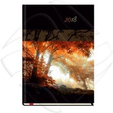 Zdjęcie Michalczyk I Prokop Terminarz A5 Popularny T 209F 04  Mip - Żywiec