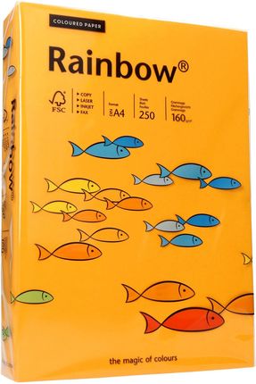Papier ksero A4 160g jasnopomarańczowy Rainbow 22