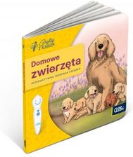 Zdjęcie Zwierzęta domowe - Radymno