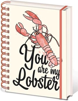 Friends You Are My Lobster Notes A5 Na Spirali