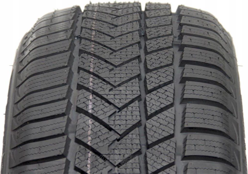 Pro max winter. Autogreen шины 205/55 r16. Autogreen шины 205/55 r16 2020. Sunny Winter-Max s1 NW-631 94h ш. Винтер Макс 5j8.