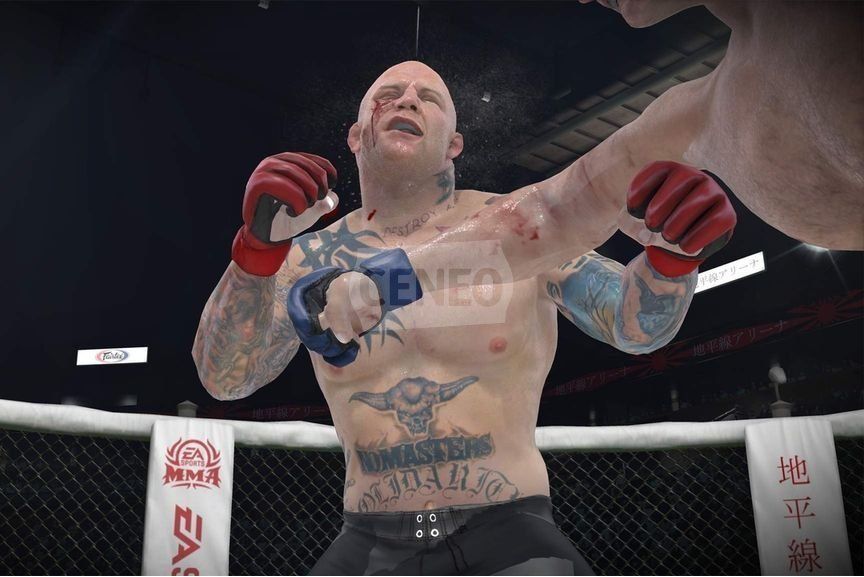 Как играть в mma на ps3 вдвоем