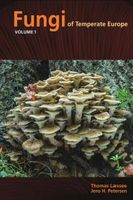 Zdjęcie Fungi of Temperate Europe - Grodzisk Mazowiecki