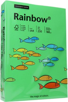Papier ksero A4 160g ciemnozielony Rainbow 78