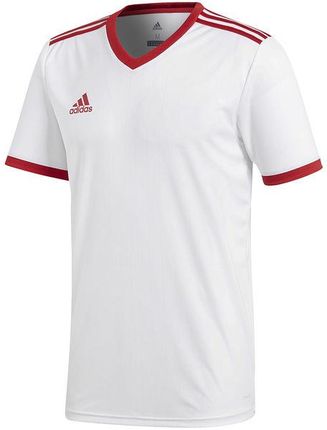Koszulka męska Adidasl M Cb T GK8911 - Ceny i opinie - Ceneo.pl