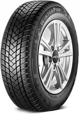 Gt Radial Winterpro 2 205/55R17 95H XL