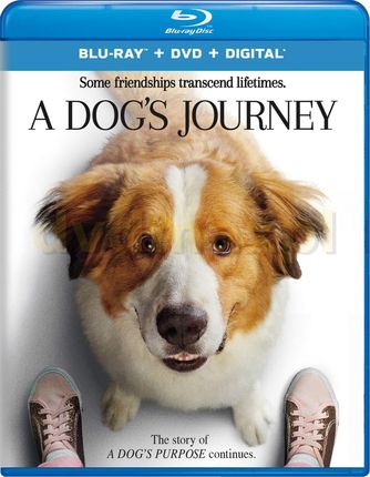 A Dog's Journey (Był sobie pies 2) [Blu-Ray]