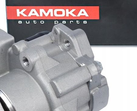 POMPA WSPOMAGANIA KAMOKA DO BMW 3 E93 320I PP171