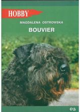 Zdjęcie Bouvier - Bydgoszcz