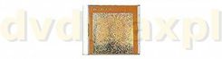 Calexico: T?Te ? T?Te [CD]