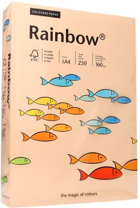 Papier ksero A4 160g łososiowy Rainbow 40