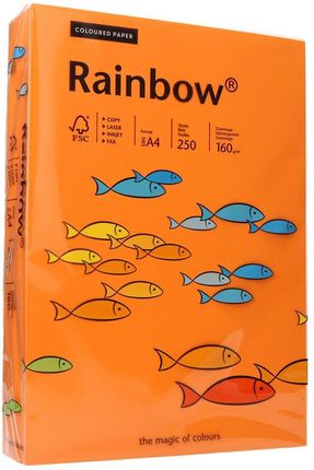 Papier ksero A4 160g pomarańczowy Rainbow 24