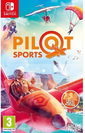 Pilot Sports (Gra NS)