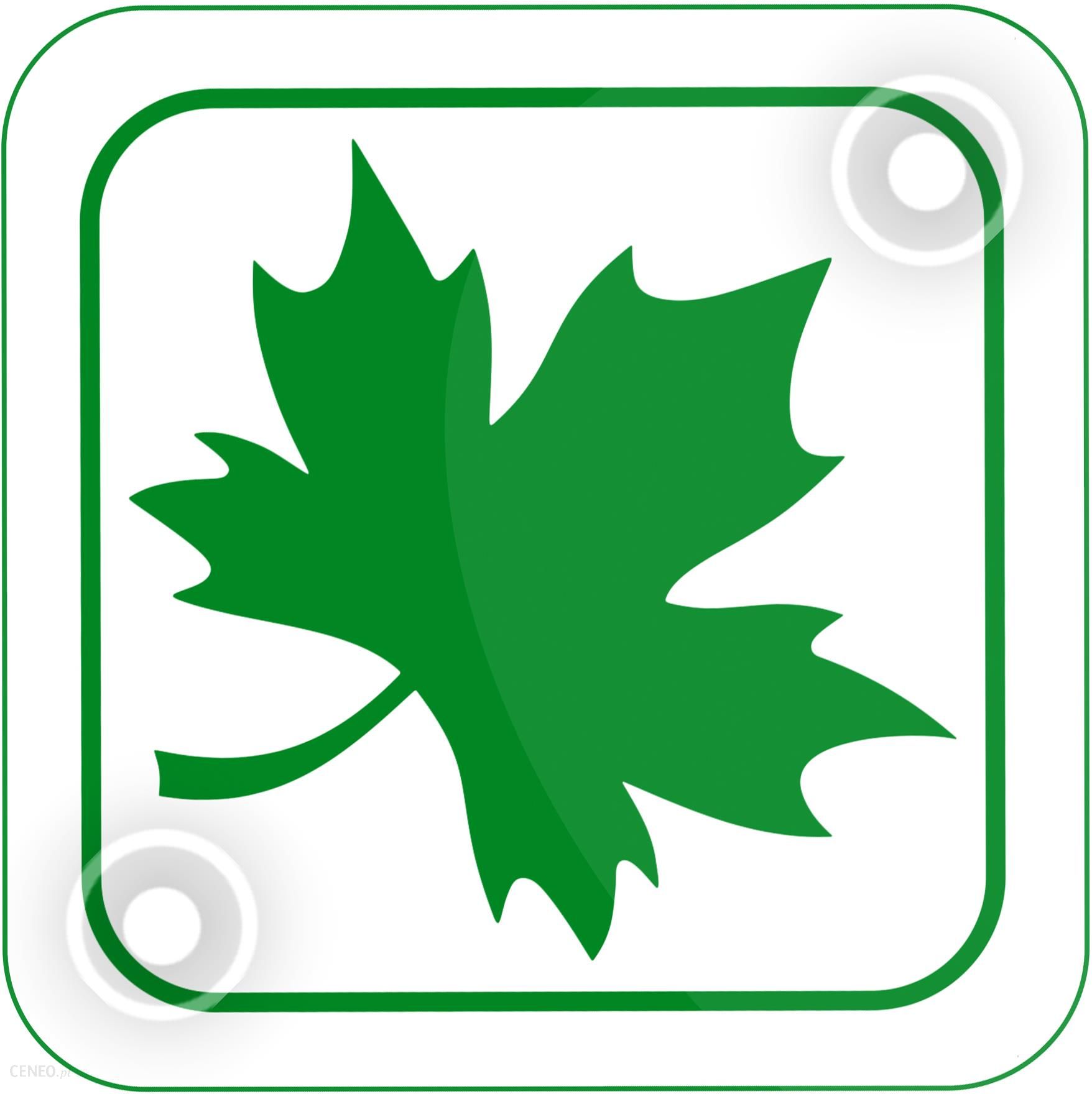 Листек. Листик иконка. Знак зеленый листик. Зеленый листок на прозрачном фоне. Флаг листик зеленый.