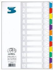 Zdjęcie Przekładka laminowana A4 12 kolorów - Biskupiec