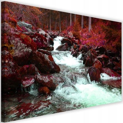 Obraz drukowany 60x40 górski potok kamienie