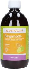 Greenatural Bergamot Concentrate Green Tea & Ginger 500 ml - zdjęcie 1