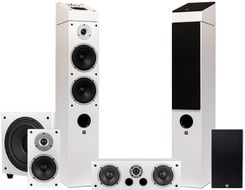 Zdjęcie Wilson RAPTOR 7/1/X/VOKAL + Sub-10 Biały  - Marki