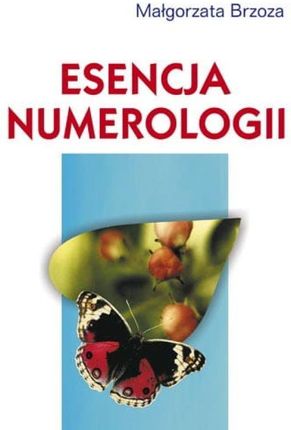 Esencja numerologii