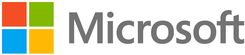Microsoft Access 2019 licencja (077-07233)