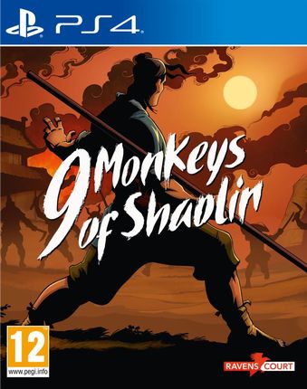 9 Monkeys of Shaolin (Gra PS4)