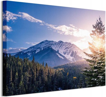 Góry i Las w Kanadzie Obraz na płótnie 50x40 cm