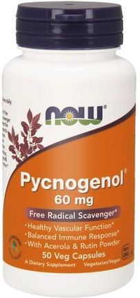 NOW Foods Pycnogenol wyciąg z kory sosny 60 mg 30 kaps