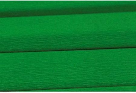 Bibuła Marszczona Zielona Fiorello Nr 23 1Szt. 170-1611