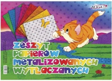 Papier Kolorowy Metalizowany Wytłaczany B5 Zpmw-6385