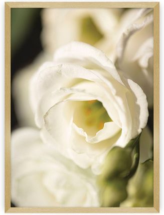 DEKORIA PLAKAT FLOWER WALL 21X30 CM RAMKA ZŁOTA