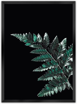 DEKORIA PLAKAT DARK FERN LEAF 70X100 CM RAMKA CZARNA