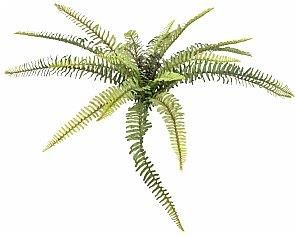 EUROPALMS PAPROĆ LEŚNA SZTUCZNA ROŚLINA 40 CM