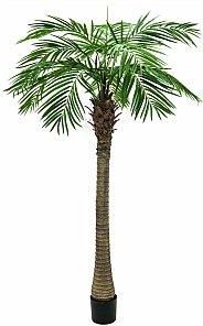 EUROPALMS PHOENIX PALMA LUXOR SZTUCZNA ROŚLINA 210 CM