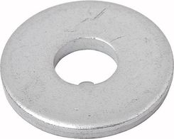 Zdjęcie Podkładka Z Ząbkiem Osi Piasty Samohamownej - Dynów