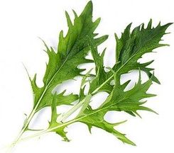 Zdjęcie Veritable Wkład Nasienny Lingot Warzywa Liściowe Kapusta Mizuna - Grodzisk Wielkopolski